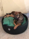 Lulu
