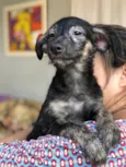 Lennon