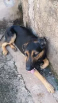Eros