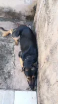 Eros