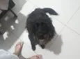 Lua