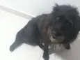Lua