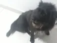 Lua