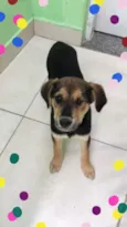Lua