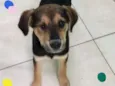 Lua 