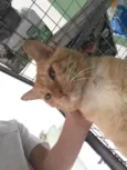 Kika