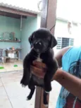 Não tem nomes.