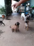 Não tem nomes.