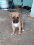 Não tem nomes.