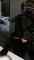 Felipe