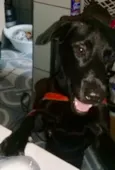 Felipe