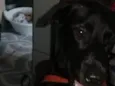 Felipe
