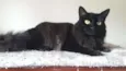 Sabrina