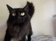 Sabrina