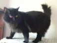 Sabrina