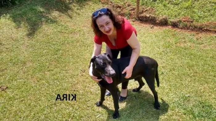 Cachorro raça srd idade 4 anos nome Kira