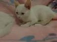 Maggie e Diana 