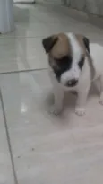 Não demos nome