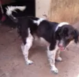 Billy