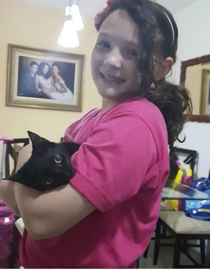 Gato ra a Boston idade 2 anos nome Luna