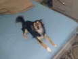 Pepê