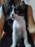Frida