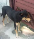 Paçoca