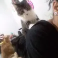 Trinit e Harry