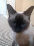 liz
