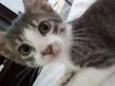 Linda