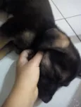 Max
