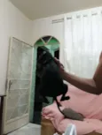 Julio 