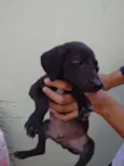 Julio 