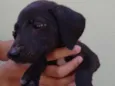 Julio 