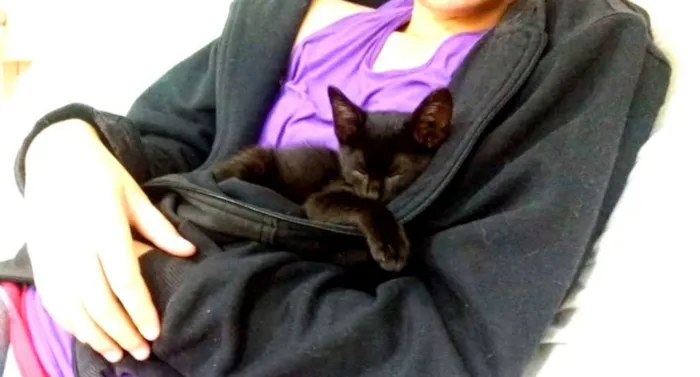 Gato ra a SRD idade Abaixo de 2 meses nome Aza Khaleesi