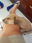Lua