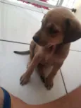 Lua