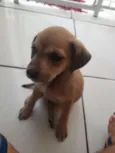 Lua