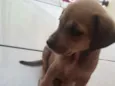 Lua