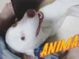 Fred