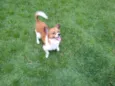 Flip
