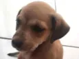 Lua