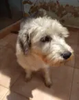 Lulu