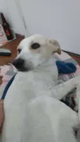 Sem Nome