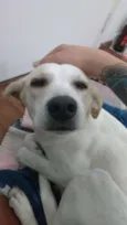 Sem Nome