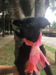 Perninha e Maezinha