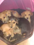 ainda não tem