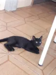Sasuke, Hinata e Him