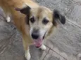 Mel