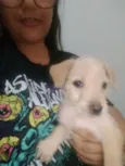 Penny